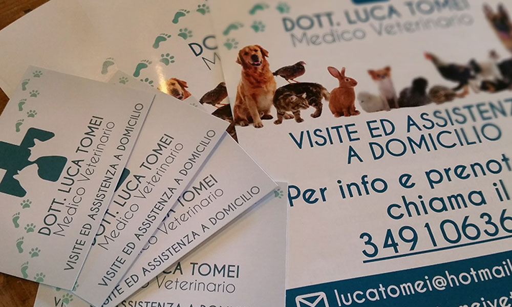 Immagine coordinata, Luca Tomei veterinario...